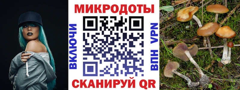 блэк спрут ССЫЛКА  Берёзовка  Псилоцибиновые грибы GOLDEN TEACHER 