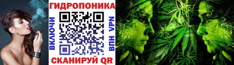 купить наркотик  сайты даркнета формула  Каннабис MAZAR  Берёзовка 